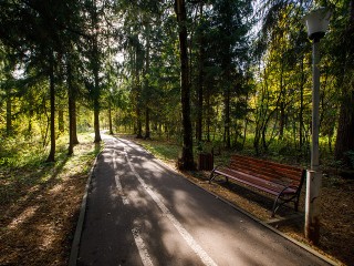 Краснознаменские парки временно закрыли