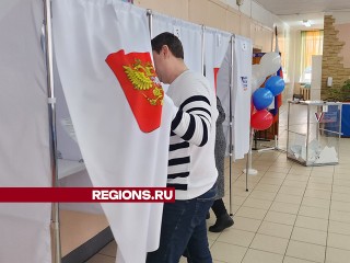 Дополнительные выборы в Совет депутатов Пушкинского округа пройдут более чем на 50 участках