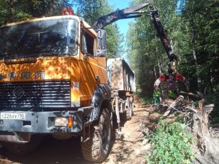 В егорьевской деревне Лесково ликвидировали свалку в лесу
