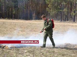 В городском округе Луховицы действует особый противопожарный режим