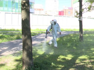 В Реутове провели обработку парков от клещей и комаров