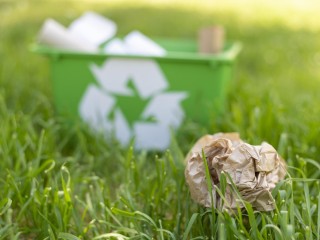 Экологическая акция по сбору мусора пройдет в парке «Дубки» поселка Кировский