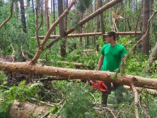 Лесничие определили места для вырубки пострадавших после урагана деревьев в Ступине