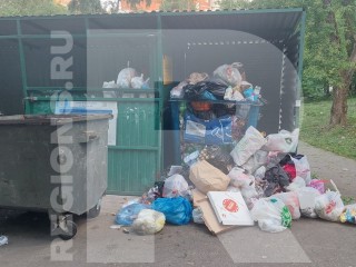 Горы мусора с контейнерной площадки на улице Дугина вывезли по просьбе жителей