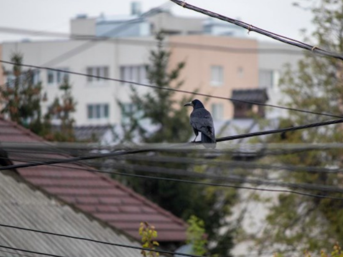 Ураганный ветер снес крышу жилого дома под Сергиевым Посадом