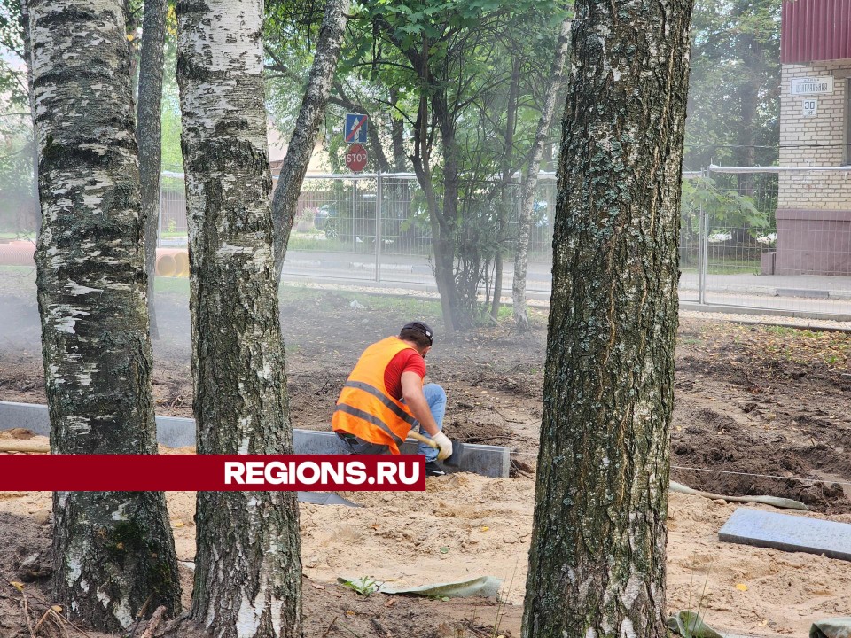 Зеленые насаждения не пострадают при благоустройстве Центральной улицы в Дубне