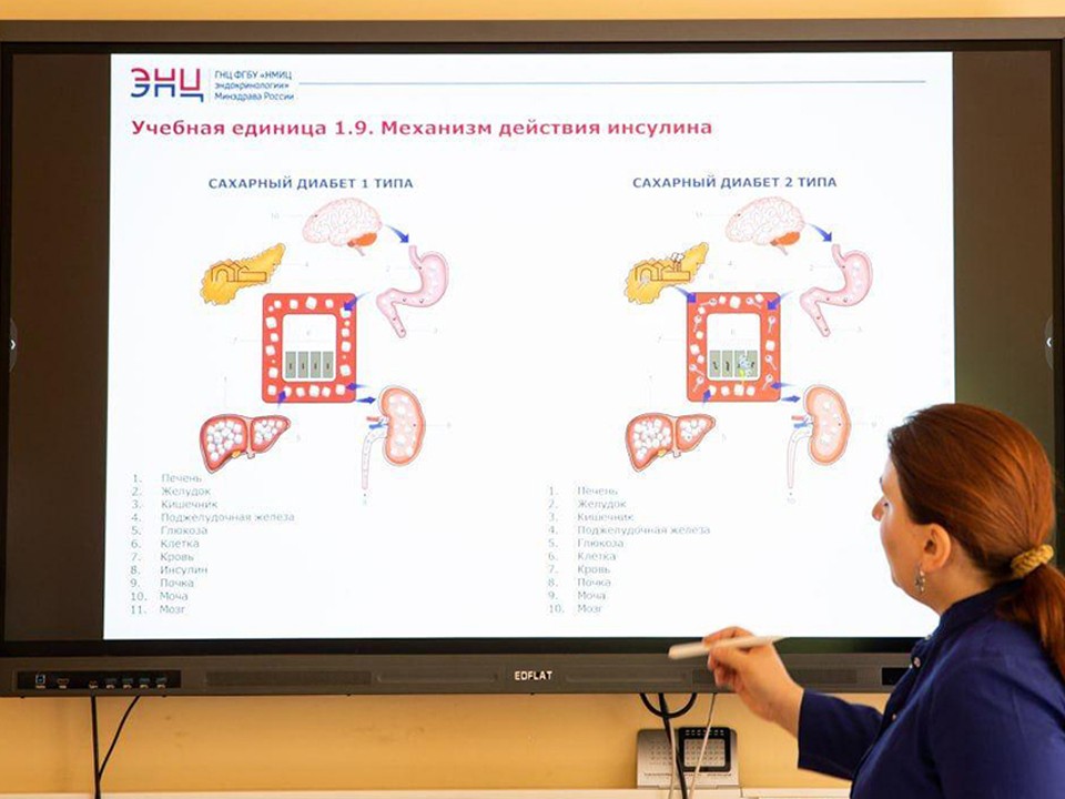 В школе сахарного диабета в Дмитрове бесплатно обучились более 600 жителей