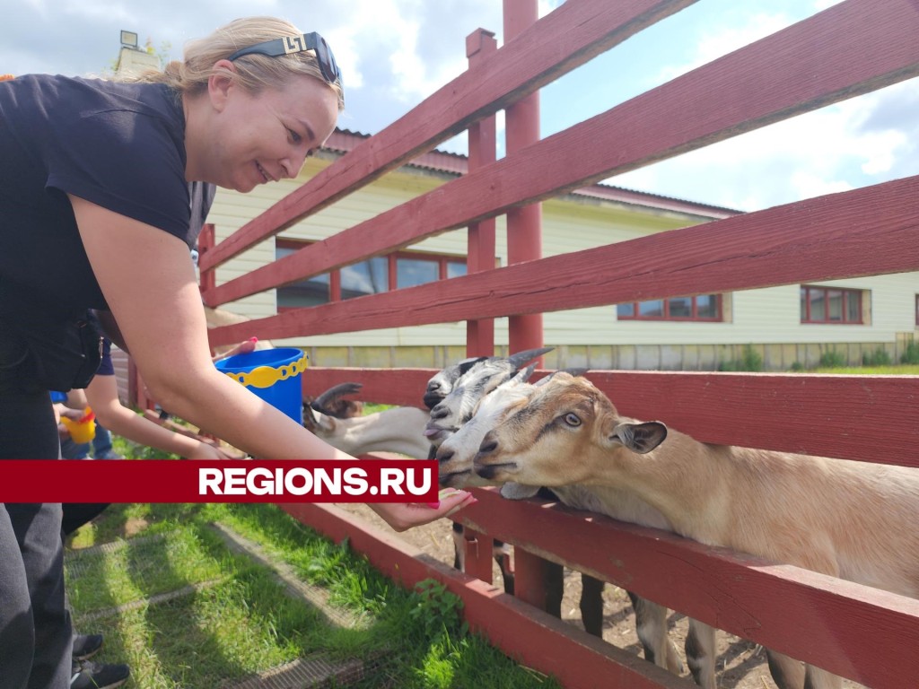 «Могучий козел» поселился на экоферме под Серпуховом