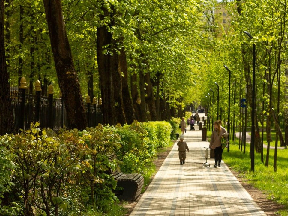 Центральный парк в Пушкино вошел в тройку самых посещаемых в регионе