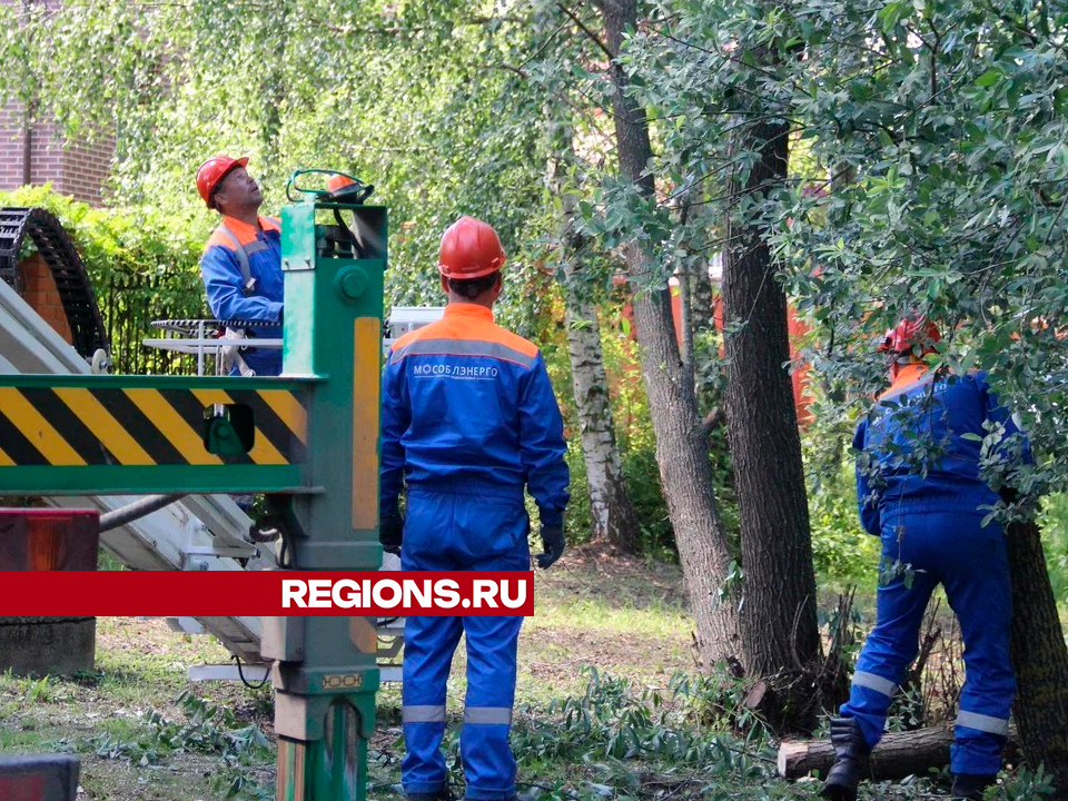 На четырех улицах Егорьевска временно отключили свет в пятницу