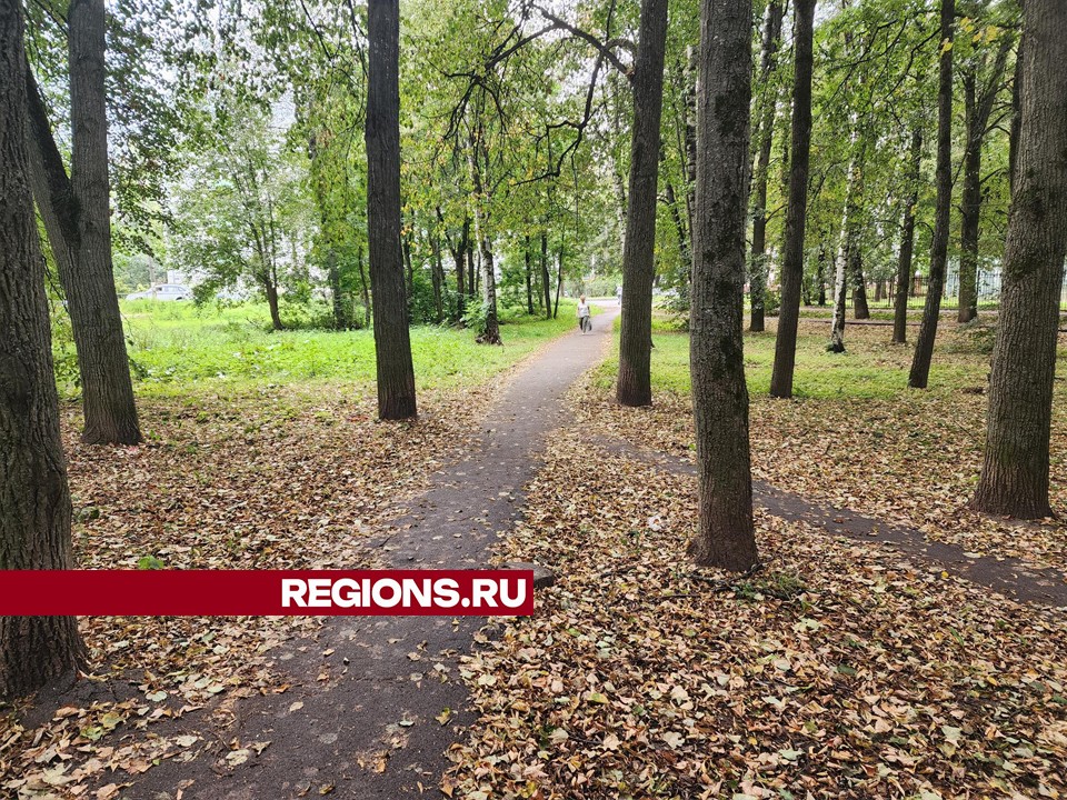 Сквер на проспекте Испытателей в Красноармейске могут создать по просьбе ветеранов