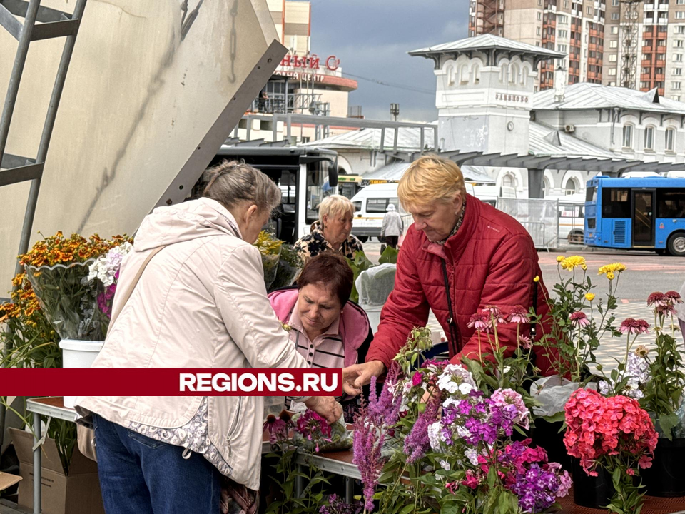 Всего за 10 рублей одинцовские пенсионеры получат место для торговли своими цветами или овощами