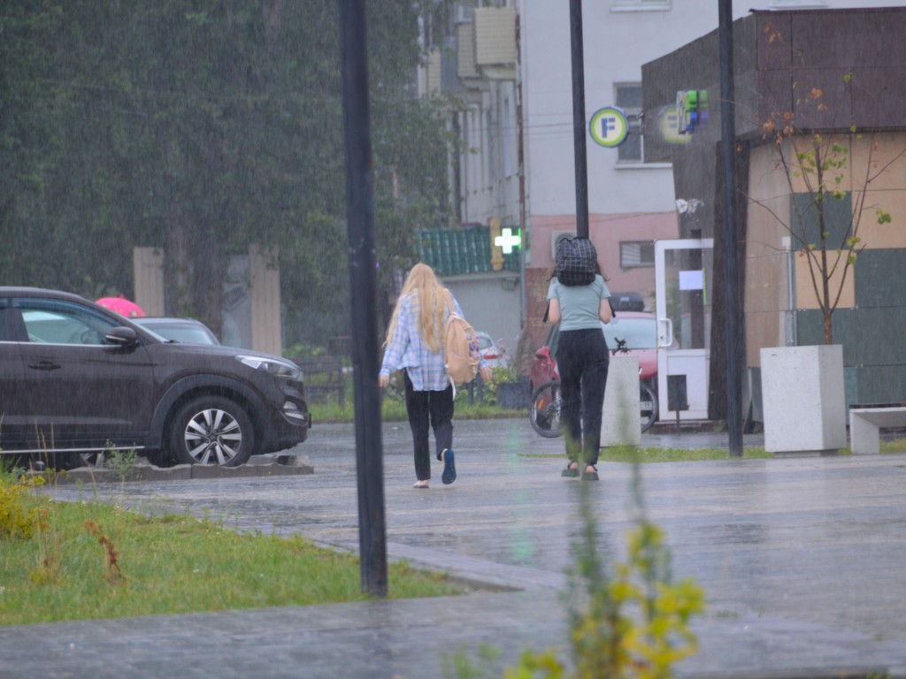 В Можайском округе 4 августа ожидается дождь, гроза и сильный ветер