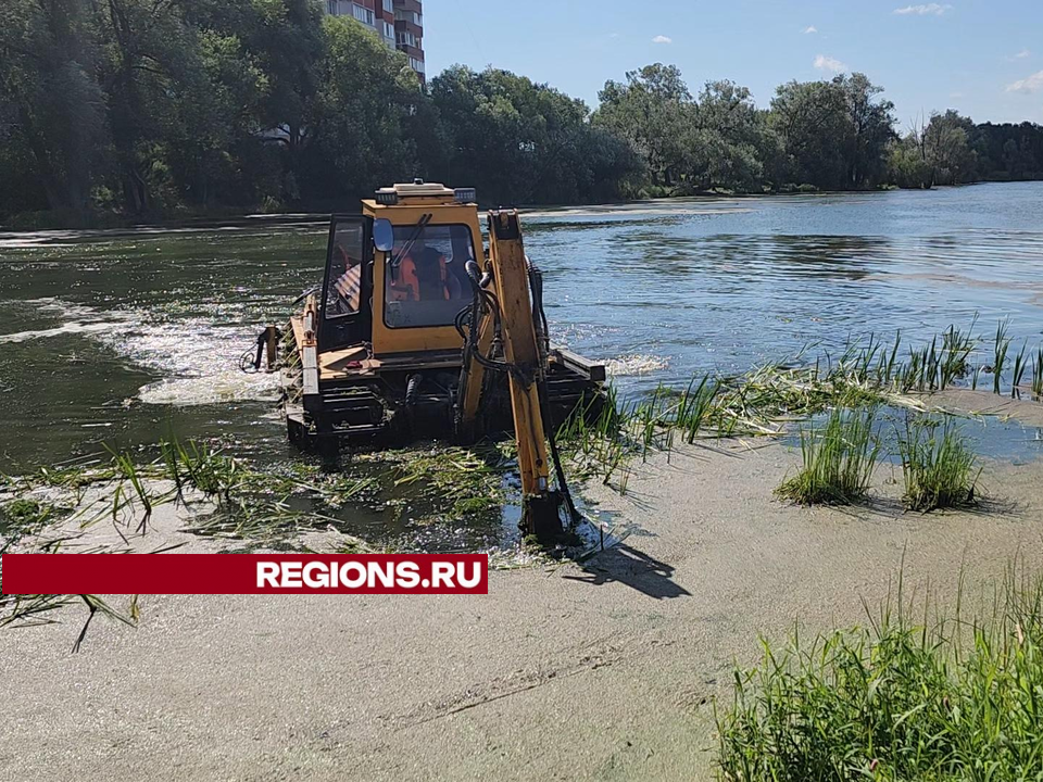 Пруд в селе Юдино в Одинцовском округе очистят по губернаторской программе до конца лета