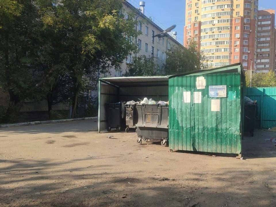 Контейнерную площадку на улице Ватутина в Подольске привели в порядок по просьбам жителей