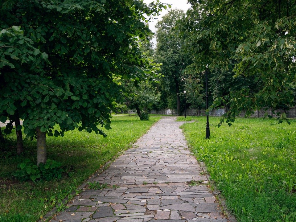 В Долгопрудном пройдет уникальная ретро-дискотека в Центральном парке