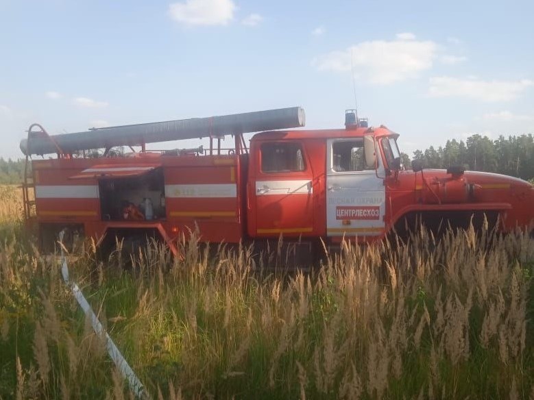 В Подмосковье оперативно ликвидировали лесной пожар