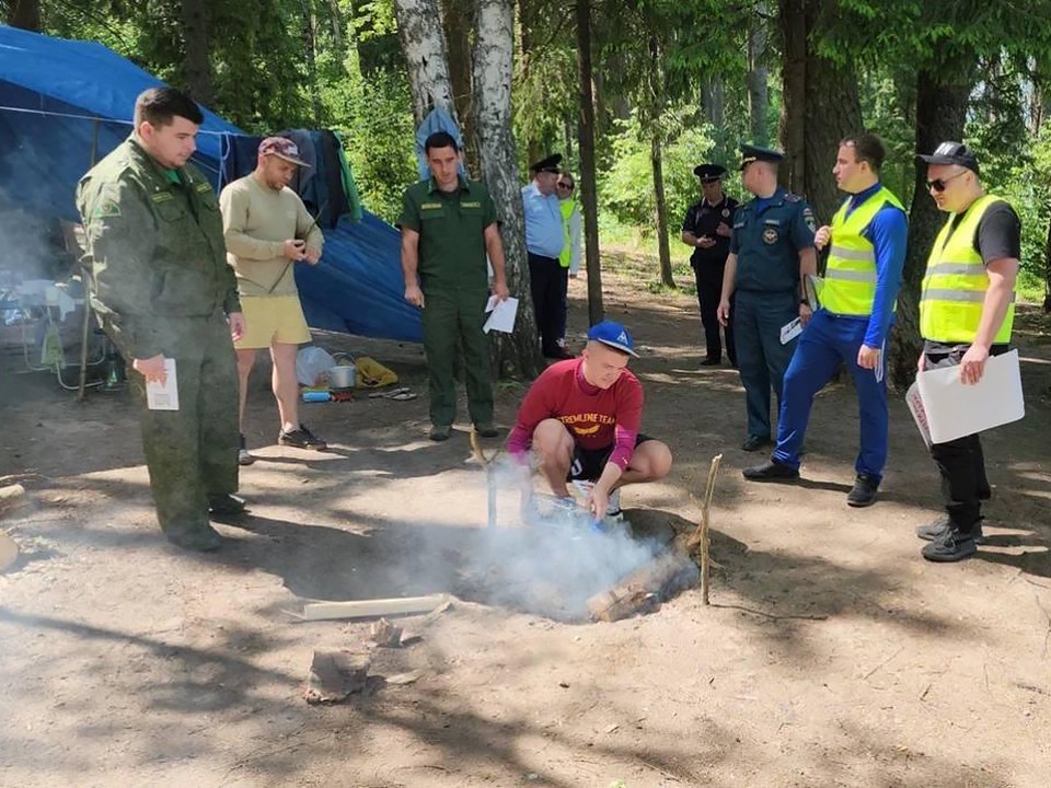 Более 4,5 тыс. нарушений лесного законодательства зафиксировали в Подмосковье с начала года