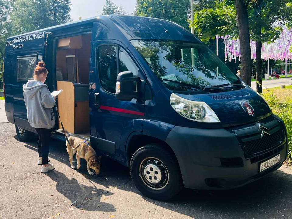 В парках Одинцова и Голицына можно будет чипировать и вакцинировать домашних животных