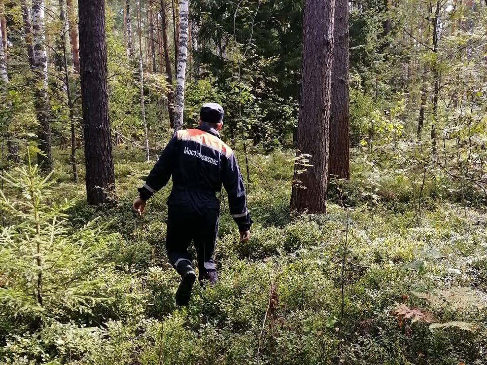 В Орехово-Зуеве двух заблудившихся людей вывели из леса