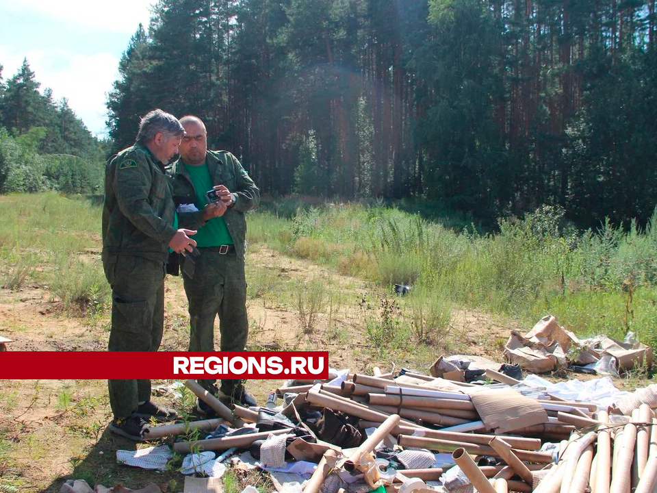 Егорьевские лесничие разыскивают организаторов несанкционированной свалки в Шувое