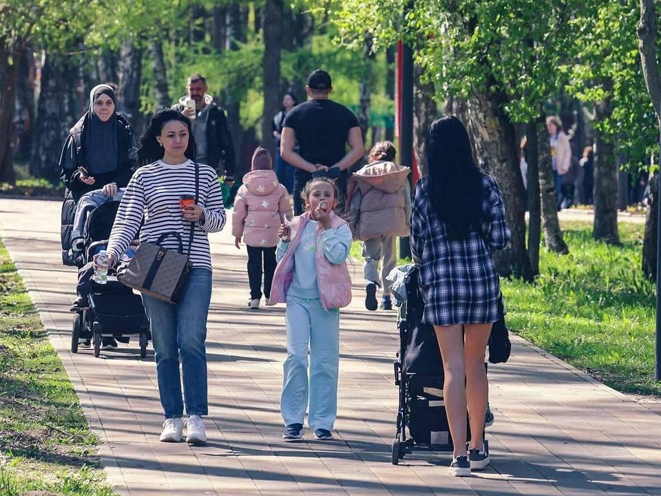 Новые арт-объекты создают в балашихинском парке «Пехорка»