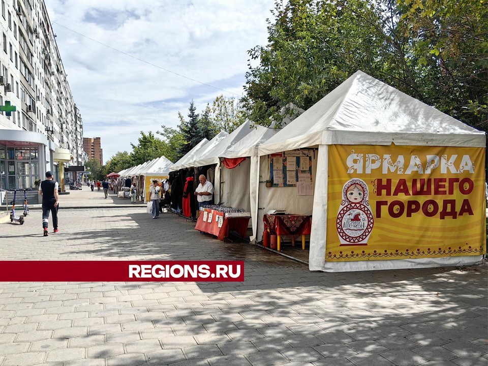 Подготовить ребенка к школе помогут тематические ярмарки в Щелкове