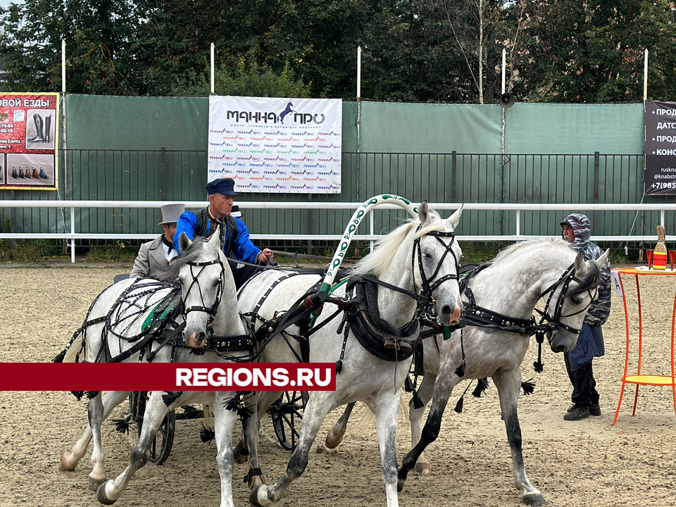 В одинцовском поселке Горки-10 пройдет четвертый по счету чемпионат русских троек