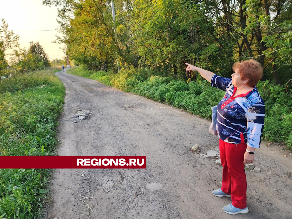 Жители деревни Крюково просят выровнять и осветить кусок Заводской улицы