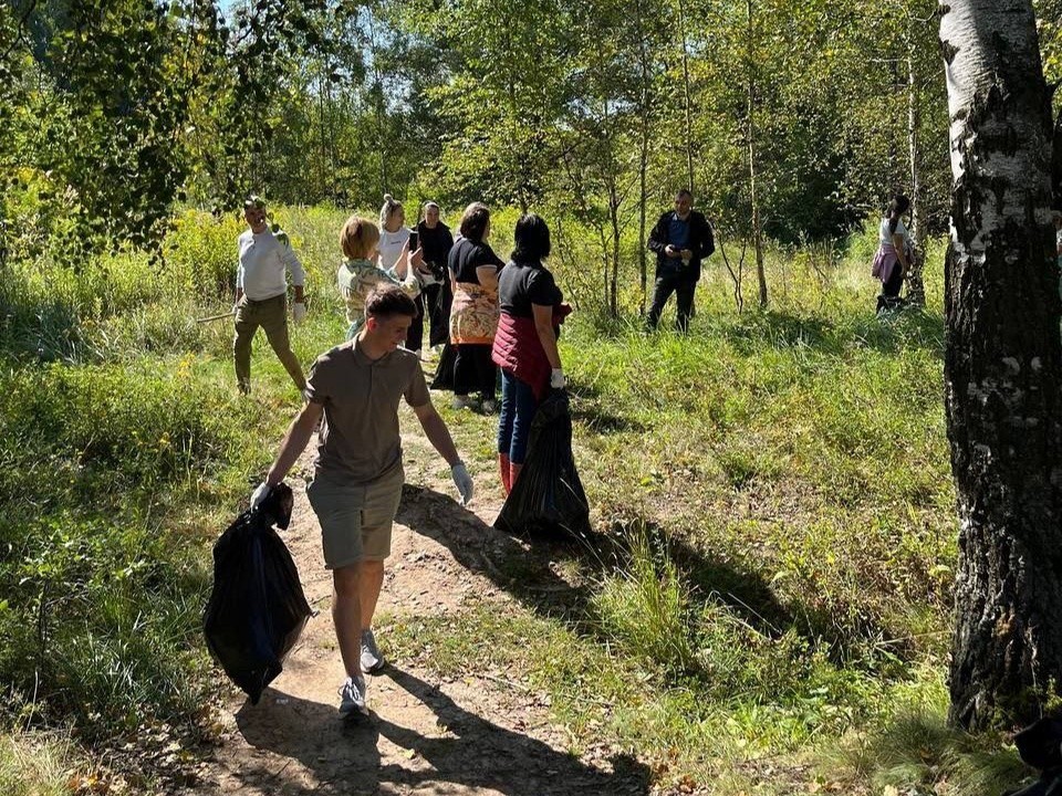 В Подольске очистят берег пруда на ручье Неумейка