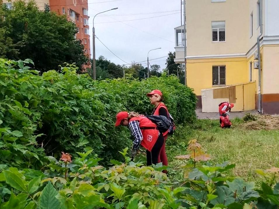 Трудовые отряды главы за неделю убрали 7,5 кубометров мусора