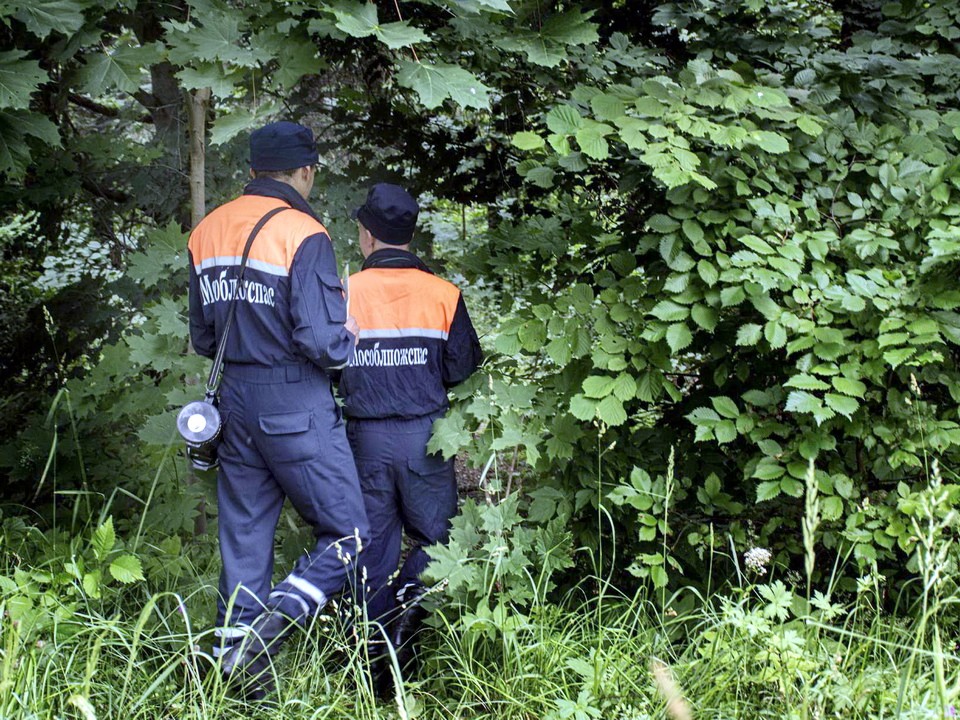 Заблудившуюся пенсионерку нашли в лесу под Ногинском