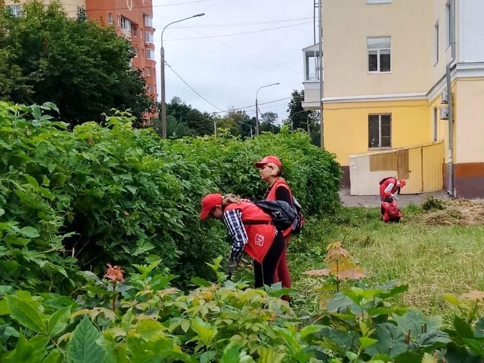 Вторая смена трудовых отрядов главы отработала первую неделю