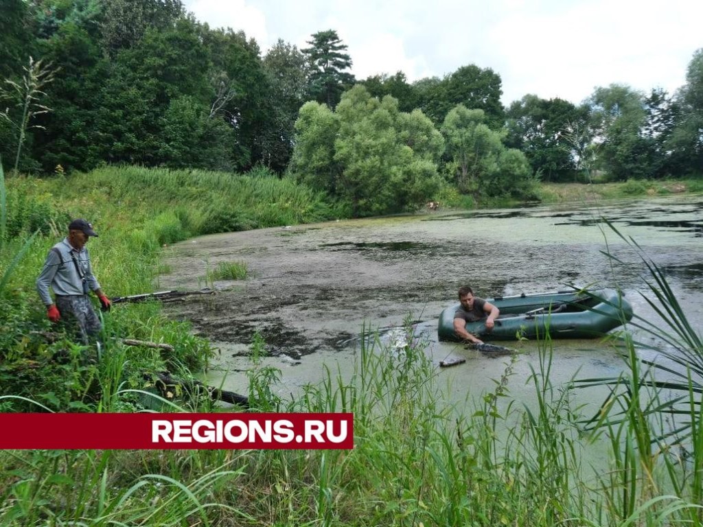 В Липицах начали расчистку пруда в усадебном парке