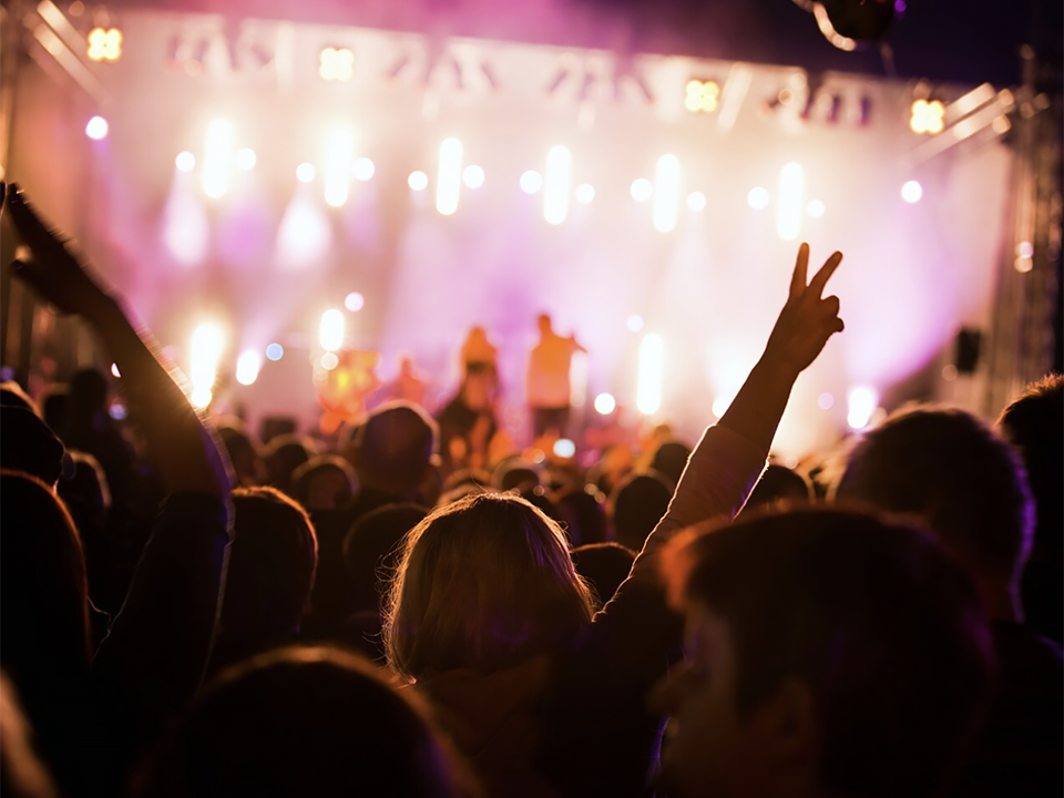 Двенадцать рок-групп выступят в защиту животных в Ногинске