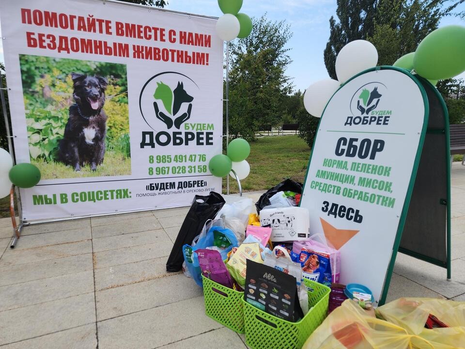 В Парке Победы Орехово-Зуева собрали все необходимое для бездомных животных