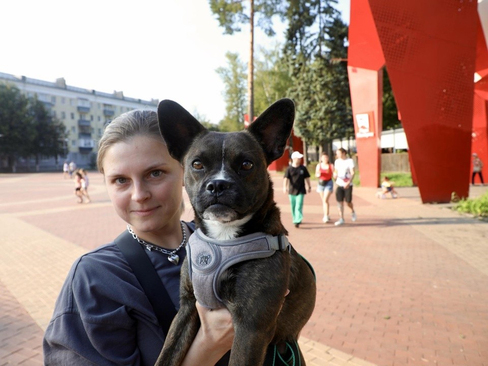 Балашихинцы чипировали своих любимцев