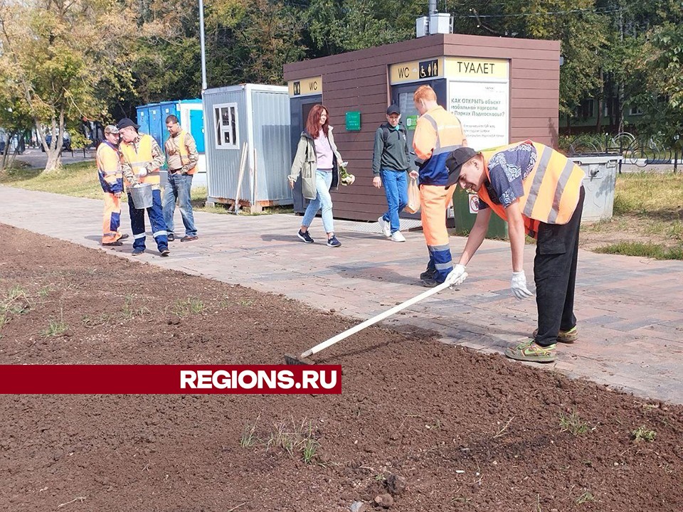 На набережной реки Серебрянки в Пушкино обновили и подсеяли газоны