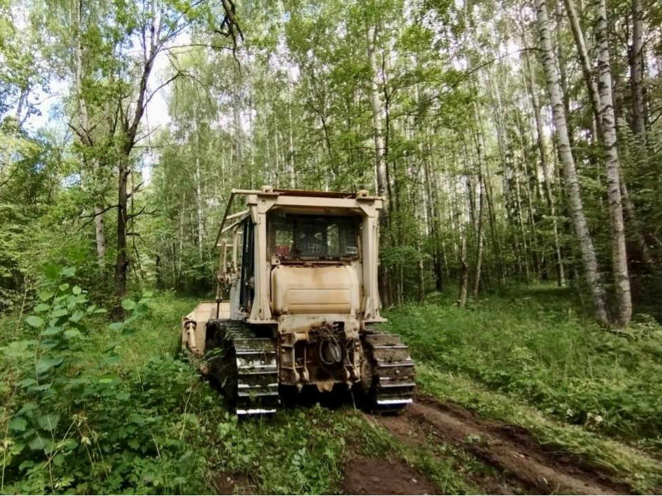 В Коломне привели в порядок лесные дороги для защиты от пожаров