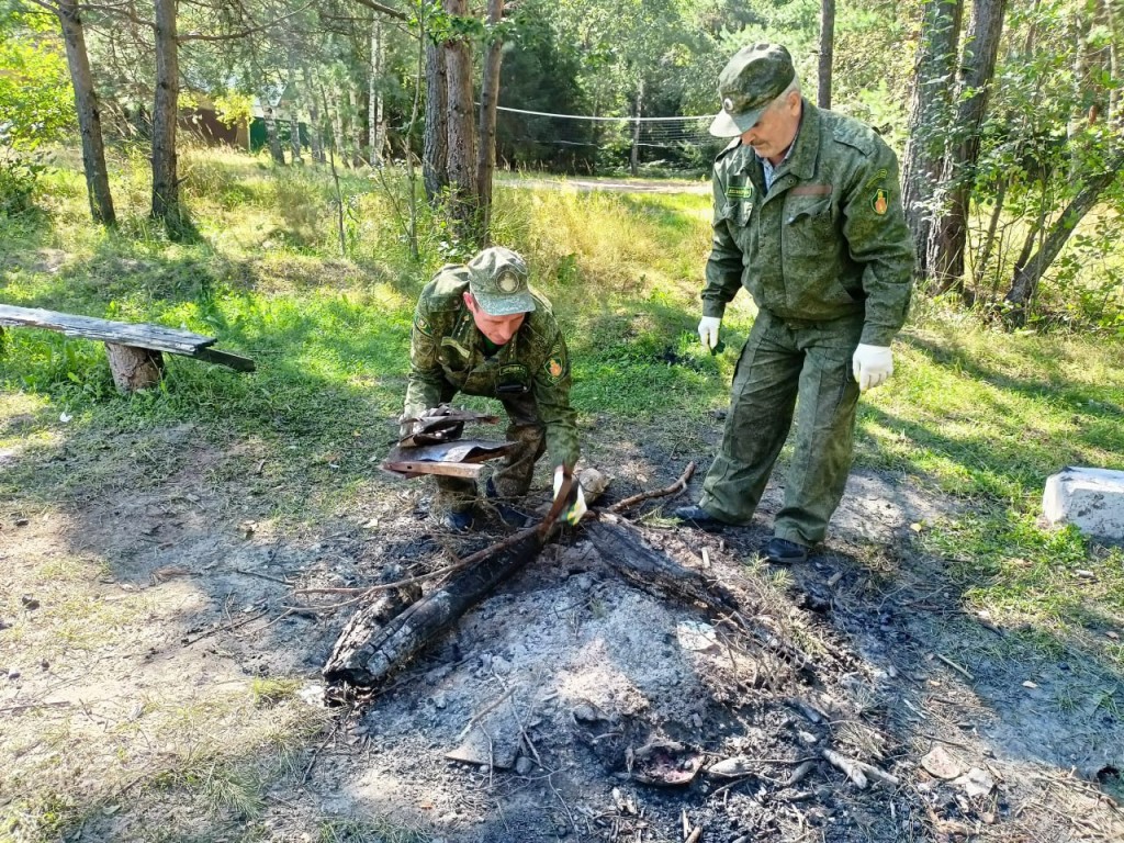 В подольских лесах из-за жаркой погоды возрастает опасность возгораний