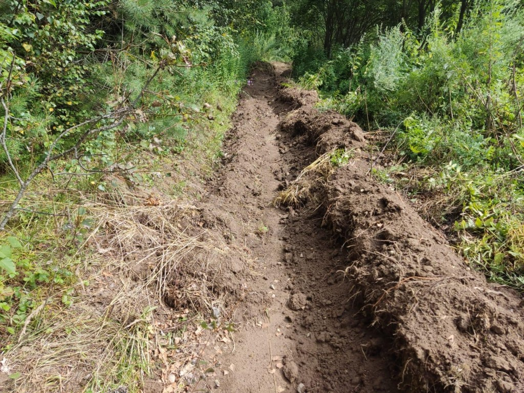 В лесах Протвина созданы защитные полосы от огня