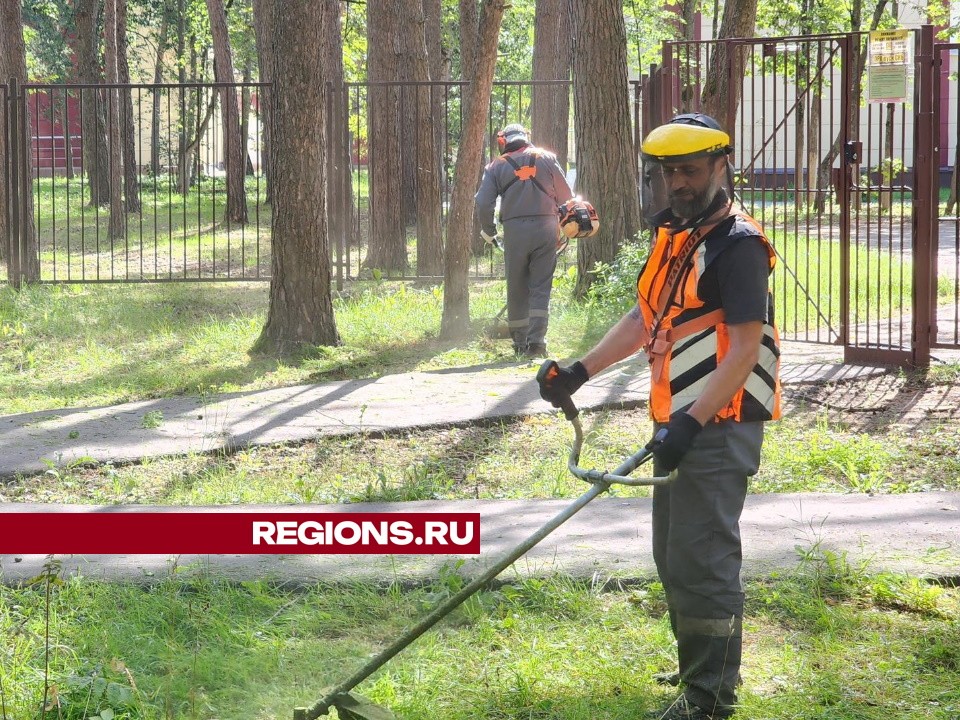 Коммунальщики в Протвине окашивают территории у школ и детских садов