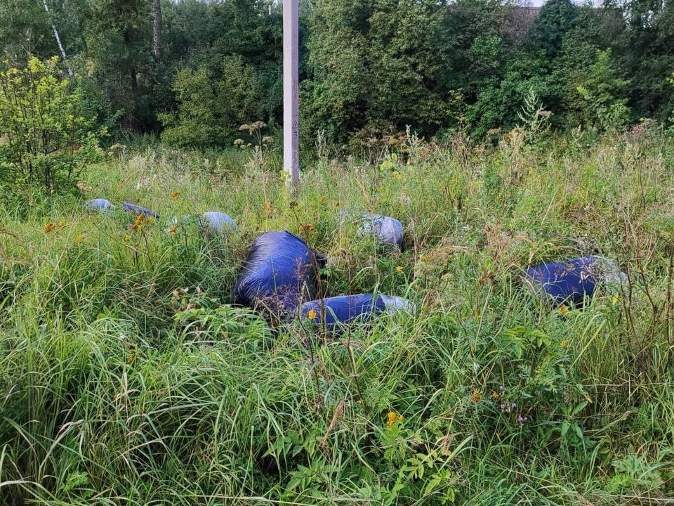 Стихийную свалку ликвидируют в деревне Карьково под Чеховом