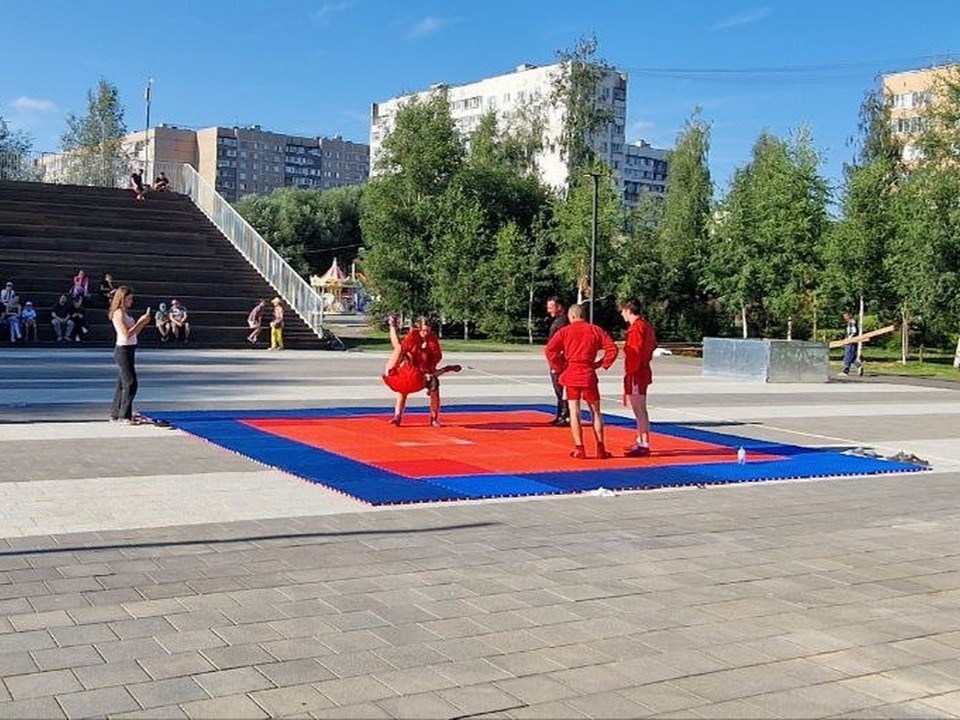 Выучить несколько приемов самбо можно бесплатно в парках Лобни