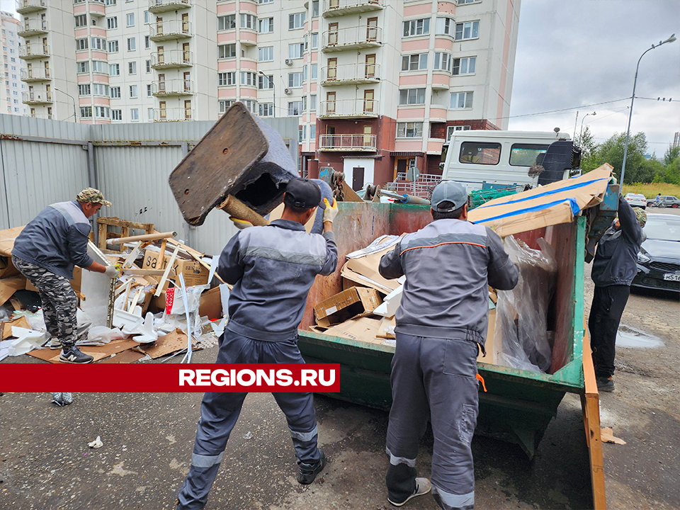 Королевцам помогут вывезти хлам с помощью нового цифрового сервиса