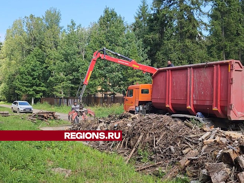 Житель Пушкинского округа за полчаса избавился от древесных отходов благодаря легальному возчику