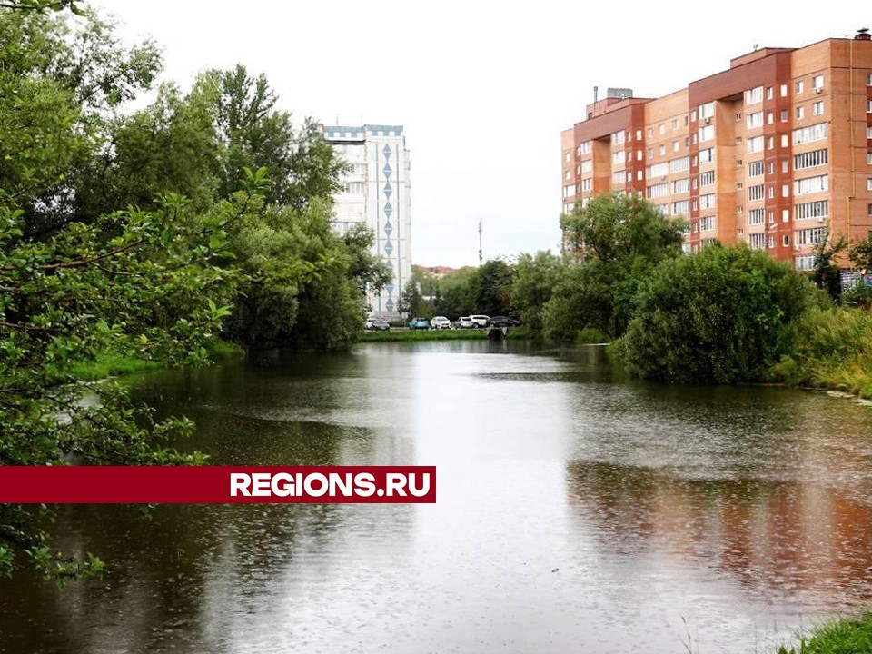 В пруд на Северном залили чистую воду для спасения уток и экосистемы