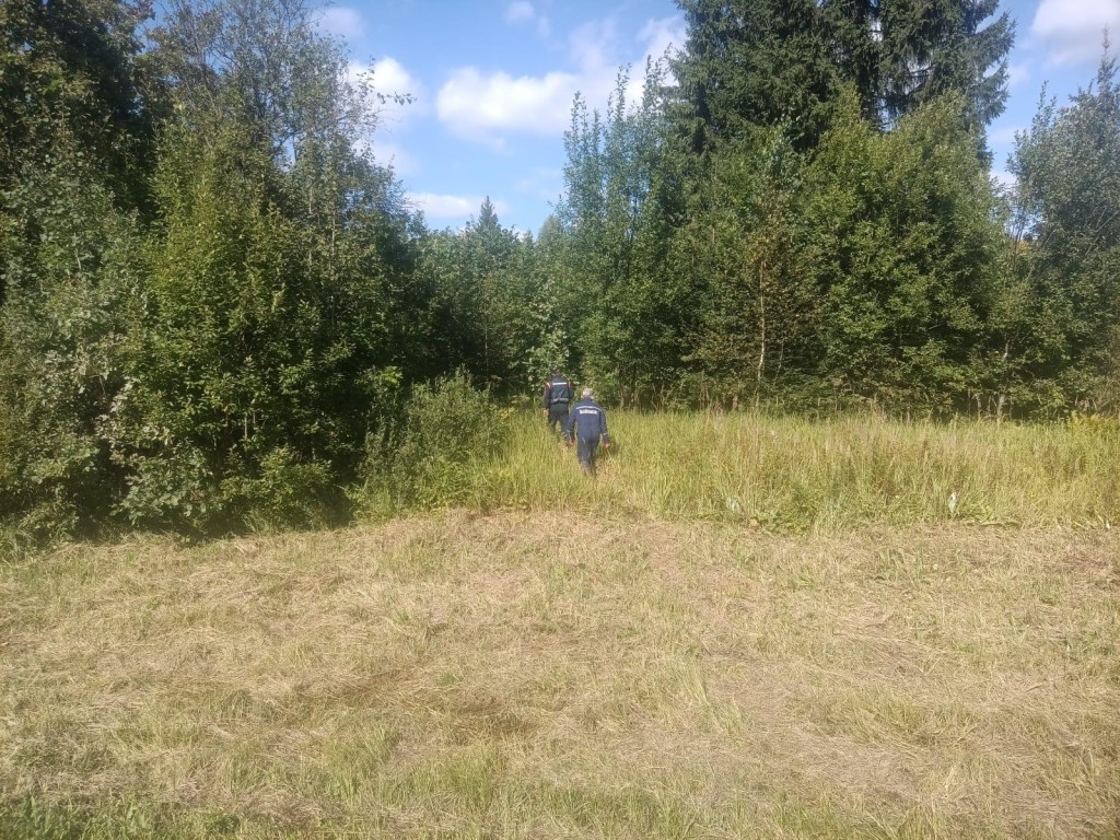 Спасатели вывели из леса около села Онуфриево заблудившегося грибника