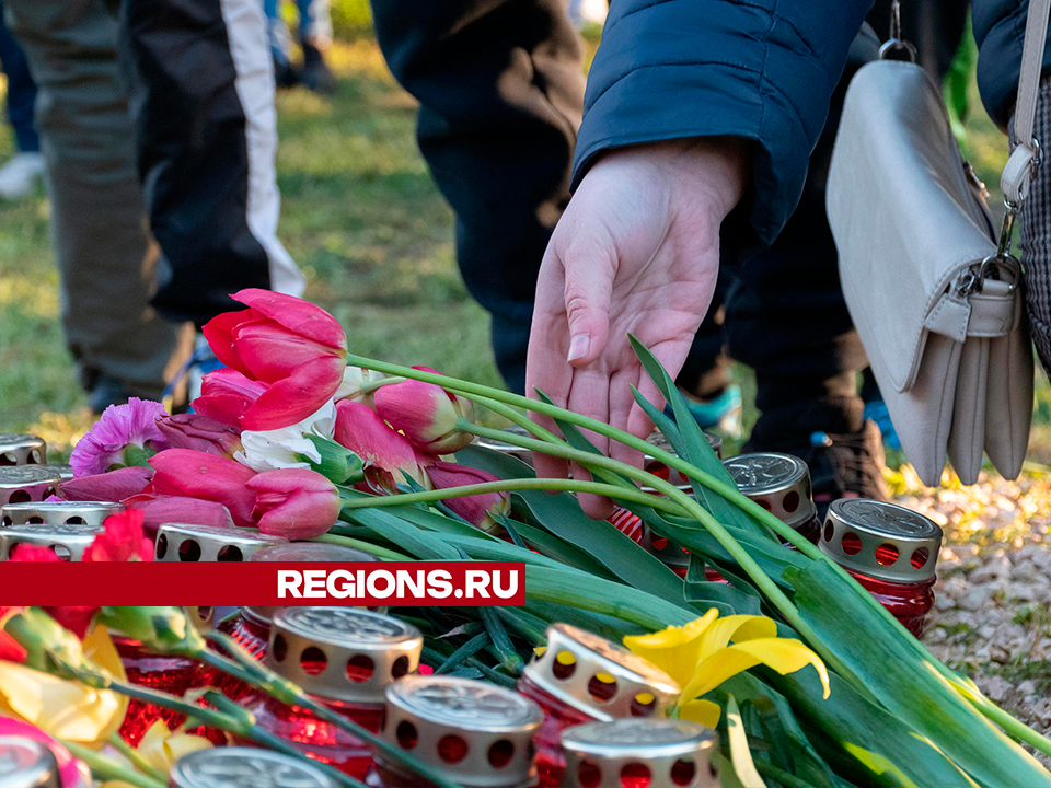 Имена погибших в ходе СВО зарайцев увековечат