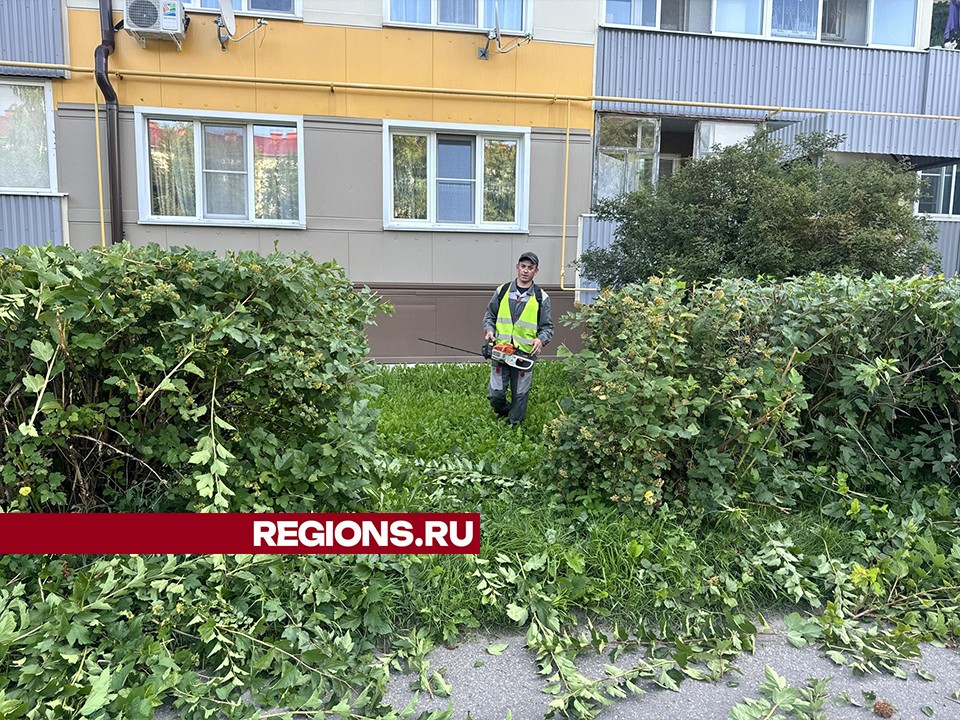 Кустам в Шаховской обновили стрижки